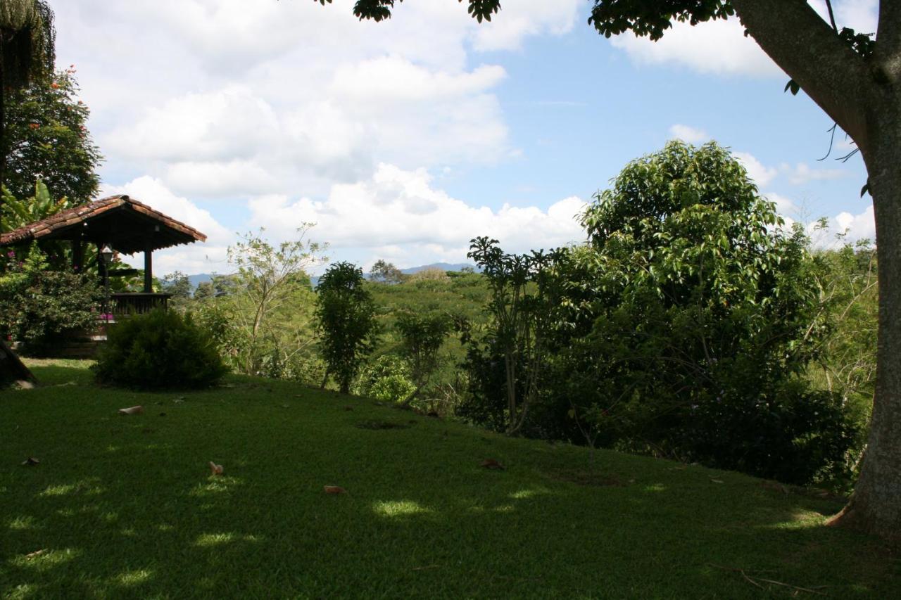 La Esperanza 2* Montenegro